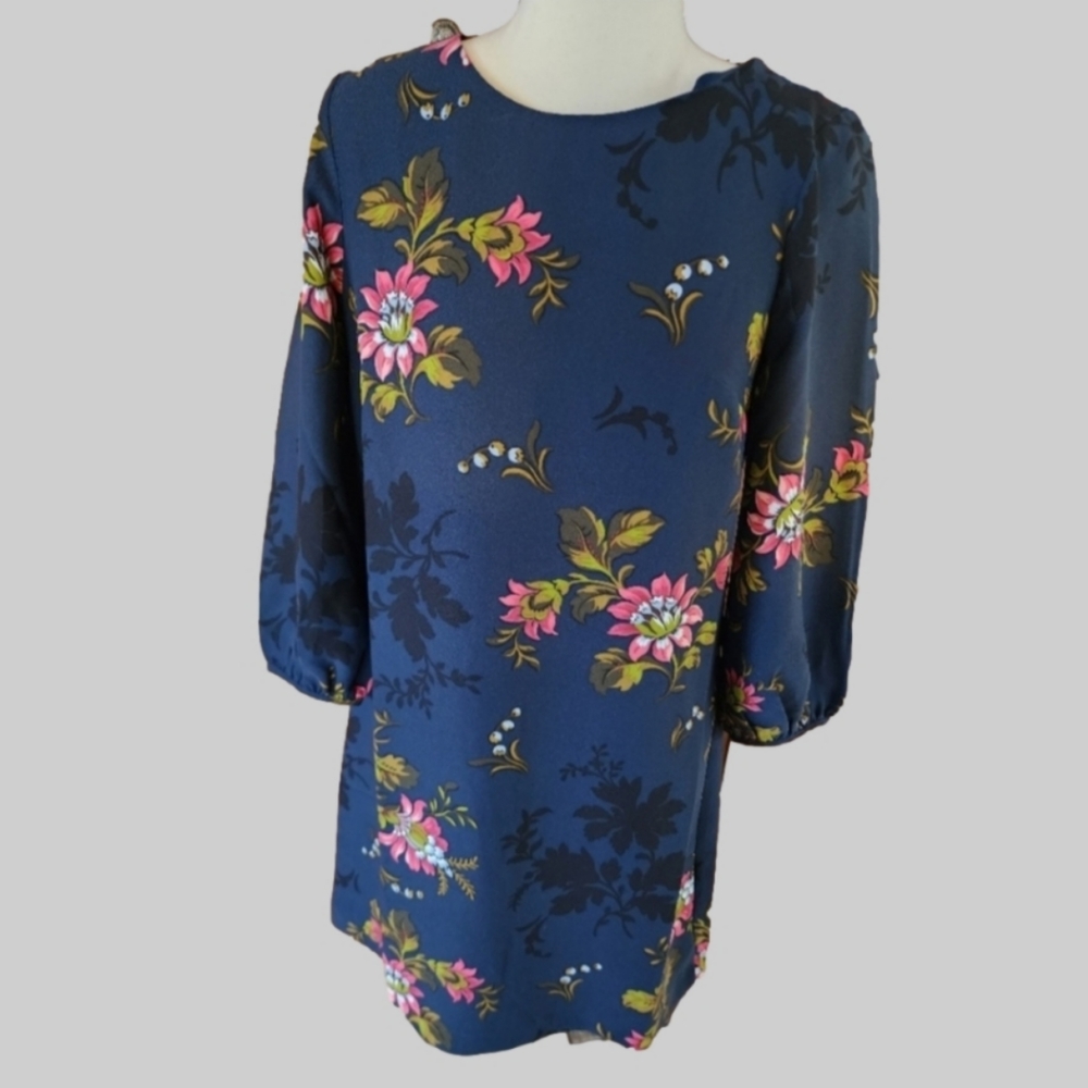 Ann Taylor Floral Shift Dress Size 0